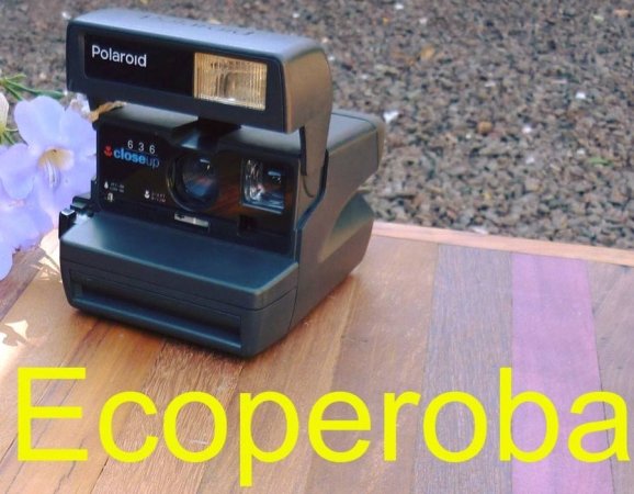 Polaroid antiga